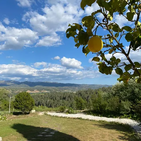 La Kolina *