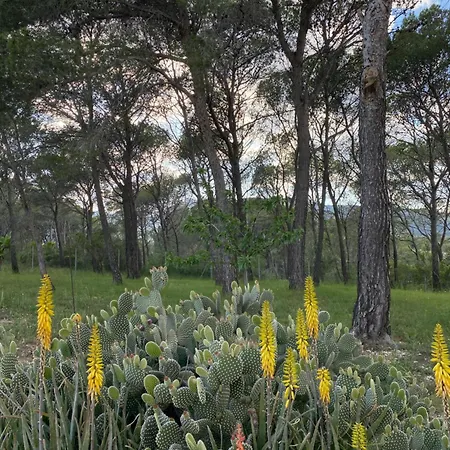La Kolina * Xerta
